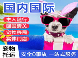三沙航空快递国际宠物托运 【国